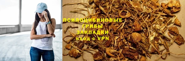 бошки Верея